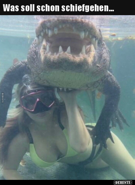 Was soll schon schiefgehen...