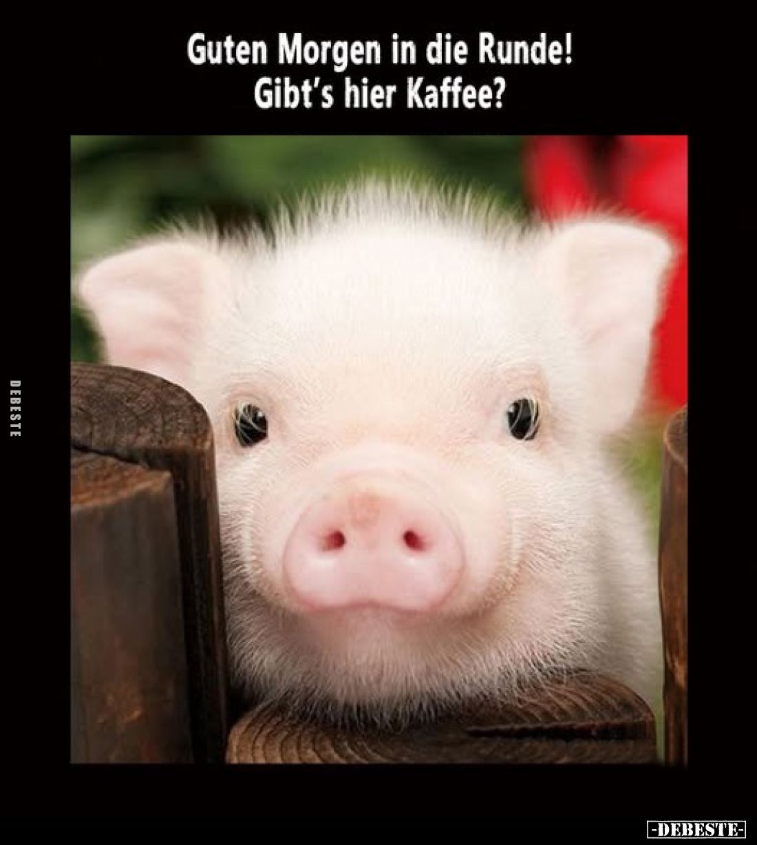 Guten Morgen in die Runde! Gibt's hier Kaffee?
