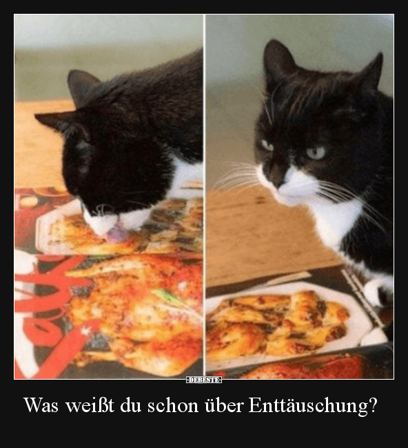 Was weißt du schon über Enttäuschung?..