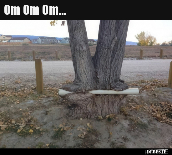 Om Om Om...