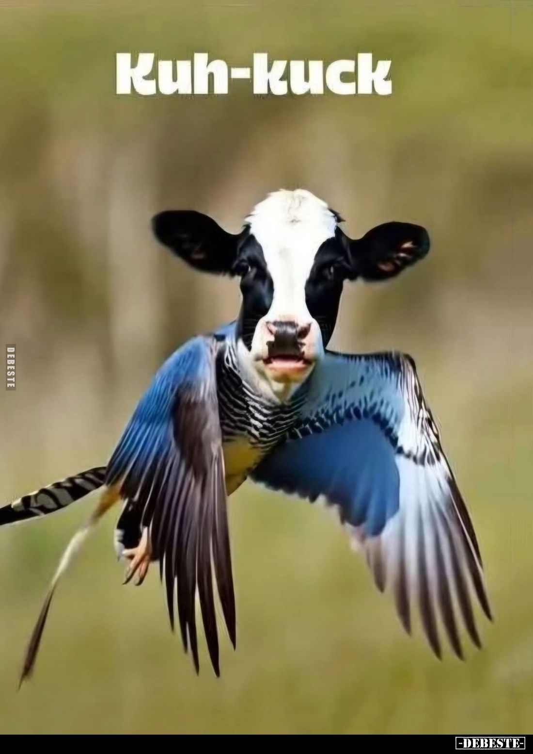 Kuh-kuck... - Lustige Bilder | DEBESTE.de