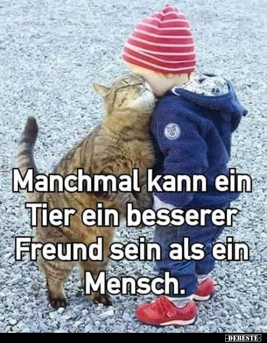 Manchmal kann ein Tier ein besserer Freund sein als ein.. - Lustige Bilder | DEBESTE.de
