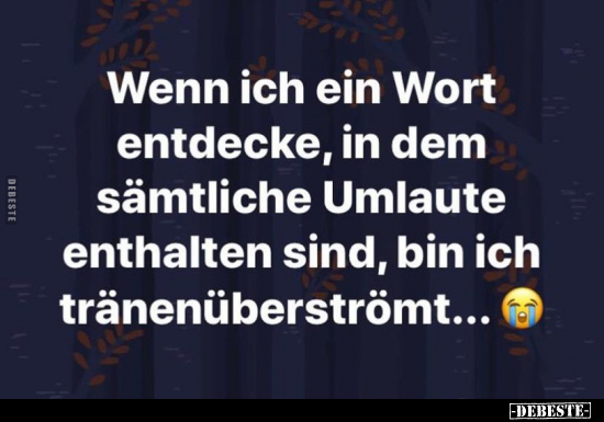 Wenn ich ein Wort entdecke, in dem sämtliche Umlaute..