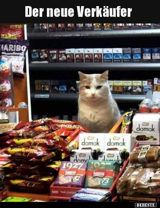Der neue Verkäufer...