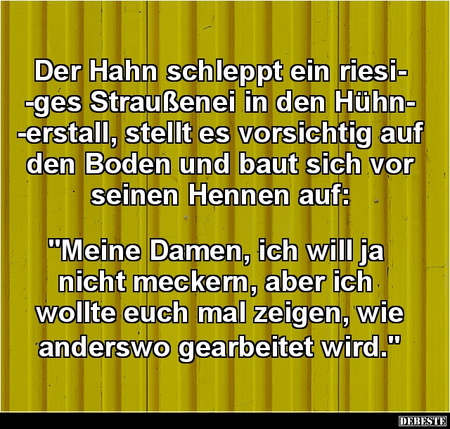 Der Hahn schleppt ein riesiges Straußenei in den Hühnerstall.. - Lustige Bilder | DEBESTE.de