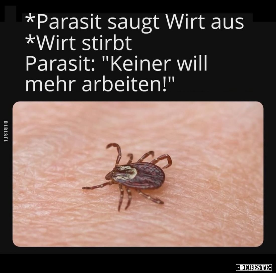 *Parasit saugt Wirt aus
*Wirt stirbt
Parasit: "Keiner will mehr arbeiten!"