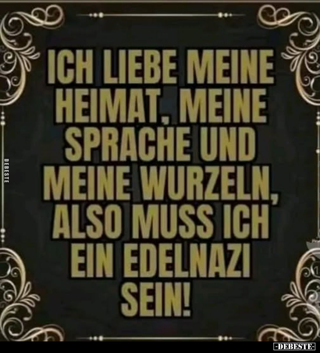 Ich liebe meine Heimat, meine Sprache und meine Wurzeln, also muss ich ein Edelnazi sein!