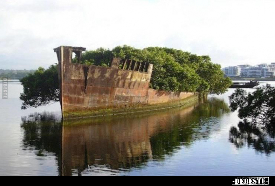  - Lustige Bilder | DEBESTE.de