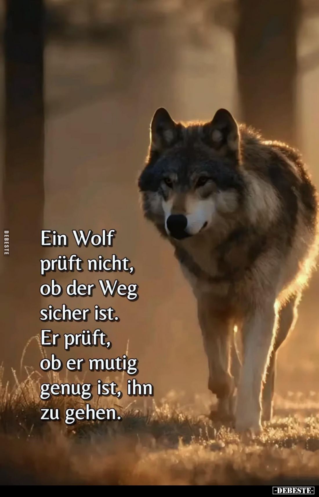 Ein Wolf prüft nicht, ob der Weg sicher ist. Er prüft, ob er mutig genug ist, ihn zu gehen.