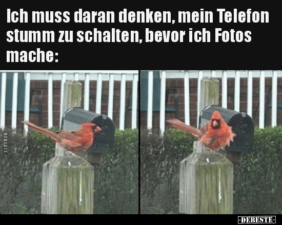 Ich muss daran denken, mein Telefon stumm zu schalten.. - Lustige Bilder | DEBESTE.de