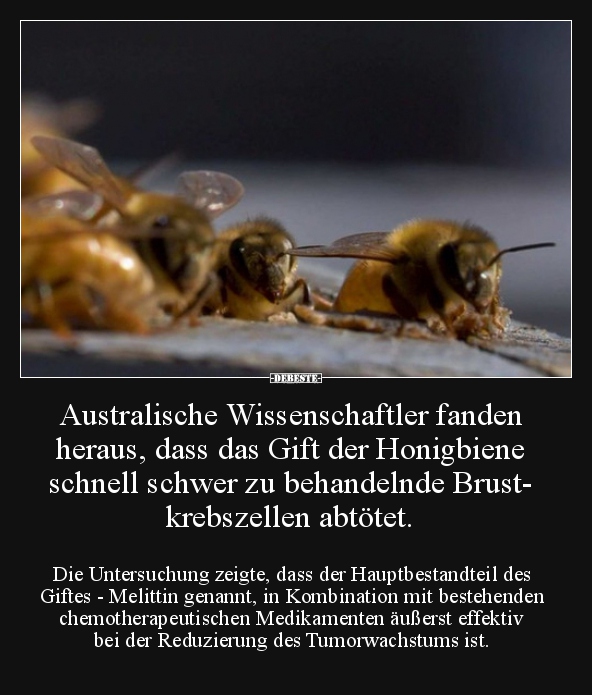 Australische Wissenschaftler fanden heraus, dass das Gift..