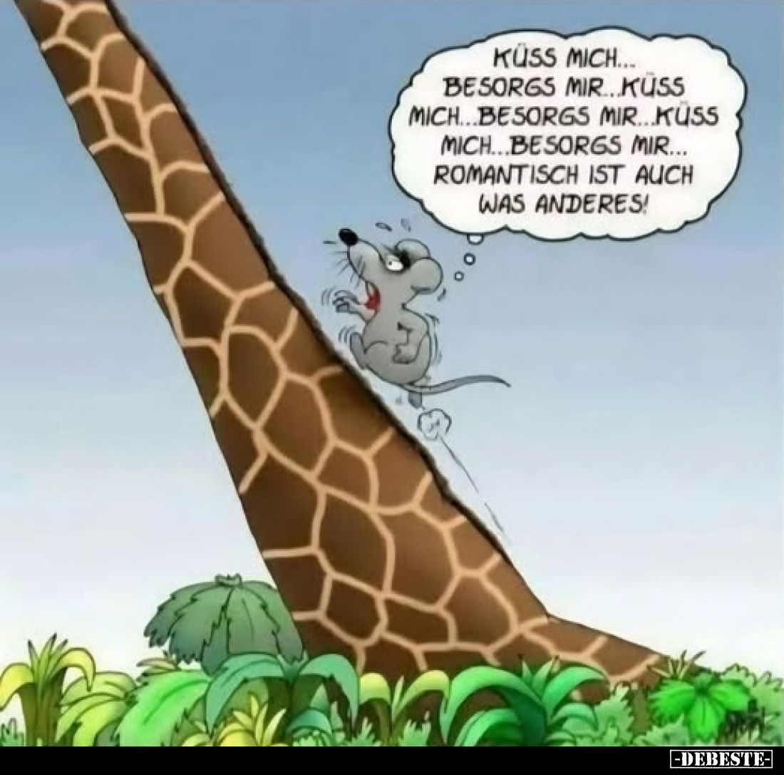 Küss mich... besorgs mir...küss mich...besorgs mir...küss mich...besorgs mir... romantisch ist auch was anderes!
