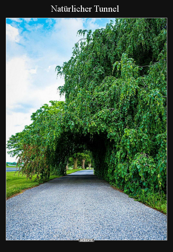 Natürlicher Tunnel.. - Lustige Bilder | DEBESTE.de