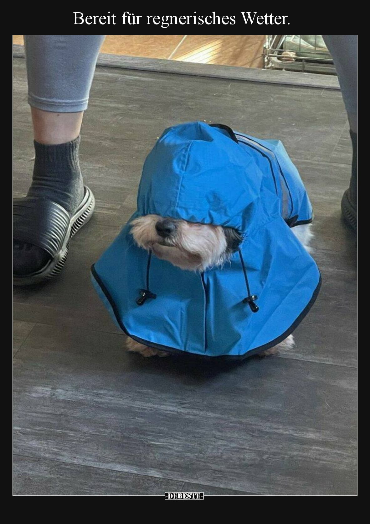 Bereit für regnerisches Wetter... - Lustige Bilder | DEBESTE.de