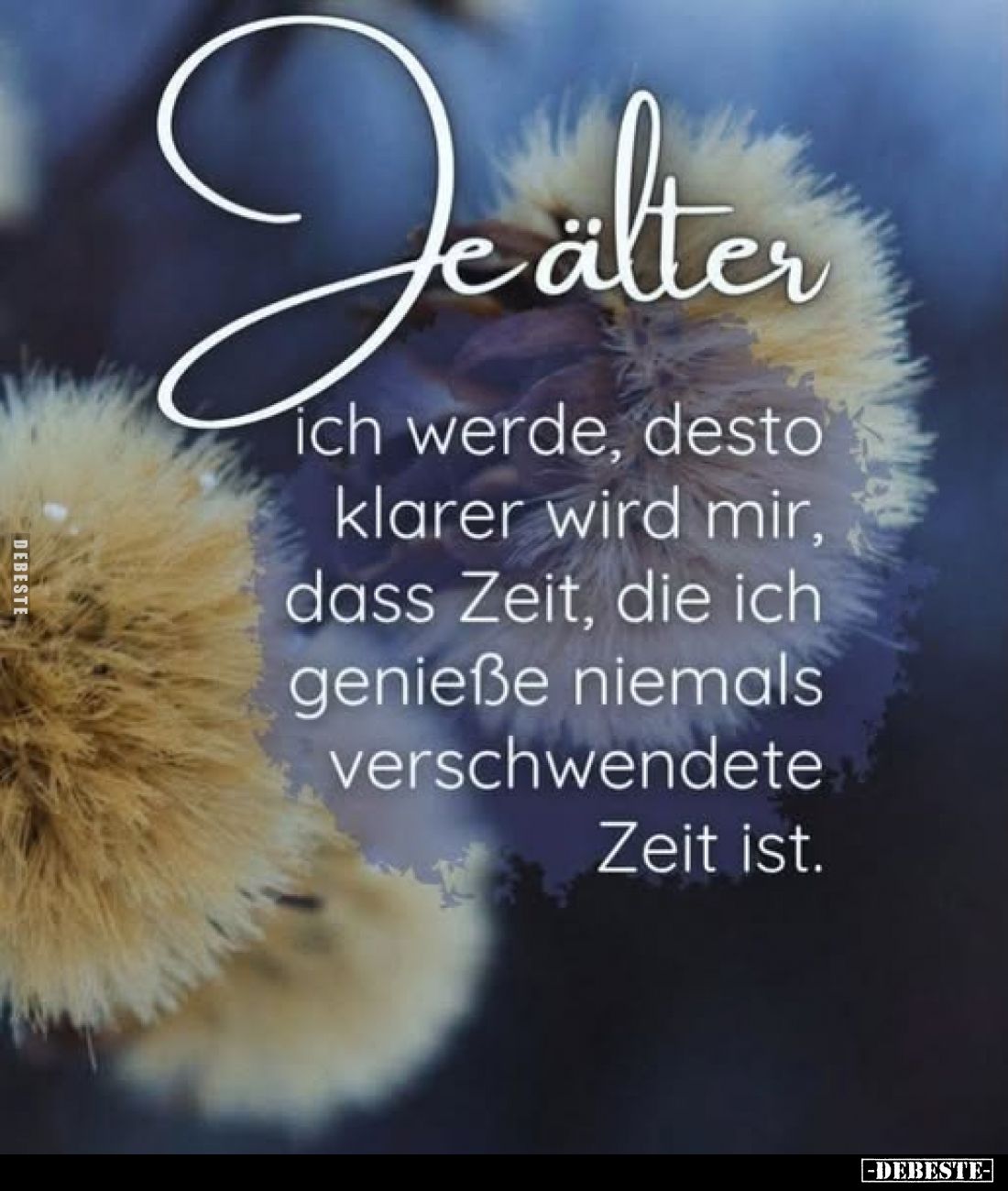 Je älter
ich werde, desto klarer wird mir, dass Zeit, die ich genieße niemals verschwendete Zeit ist.