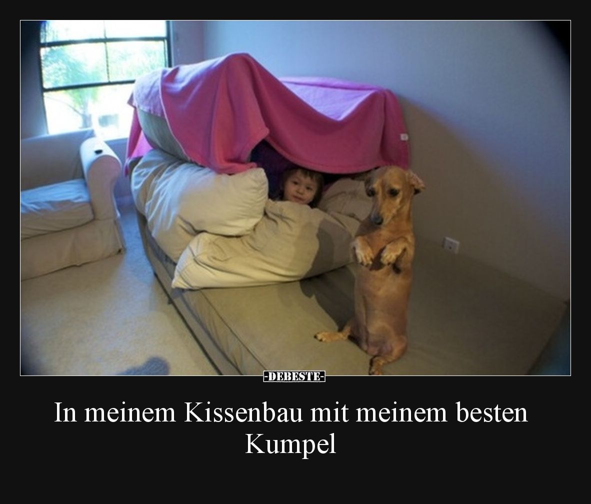 In meinem Kissenbau mit meinem besten Kumpel