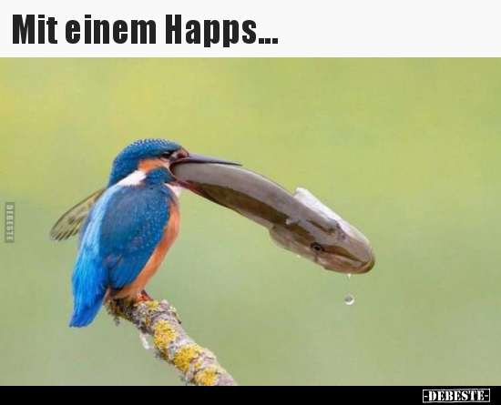 Mit einem Happs...