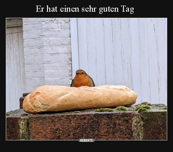 Er hat einen sehr guten Tag.. - Lustige Bilder | DEBESTE.de