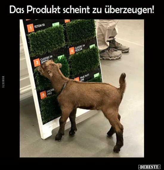 Das Produkt scheint zu überzeugen!.. - Lustige Bilder | DEBESTE.de