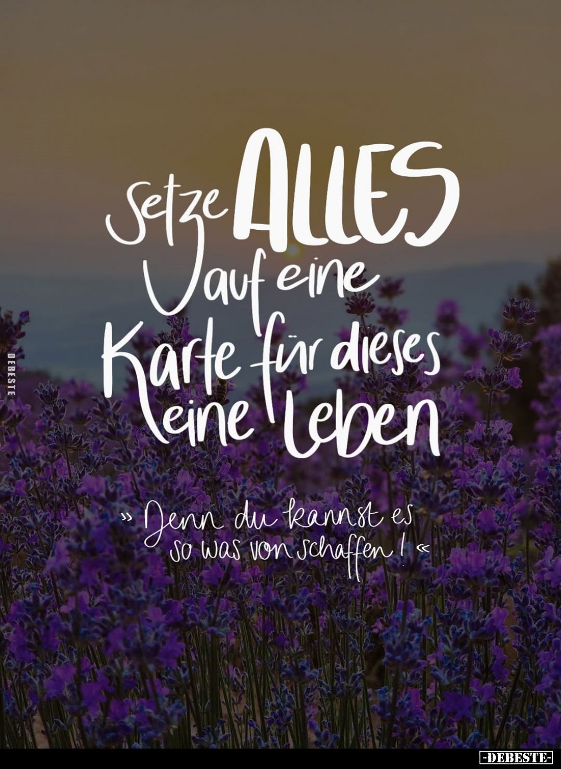 Setze ALLES auf eine Karte für dieses.. - Lustige Bilder | DEBESTE.de