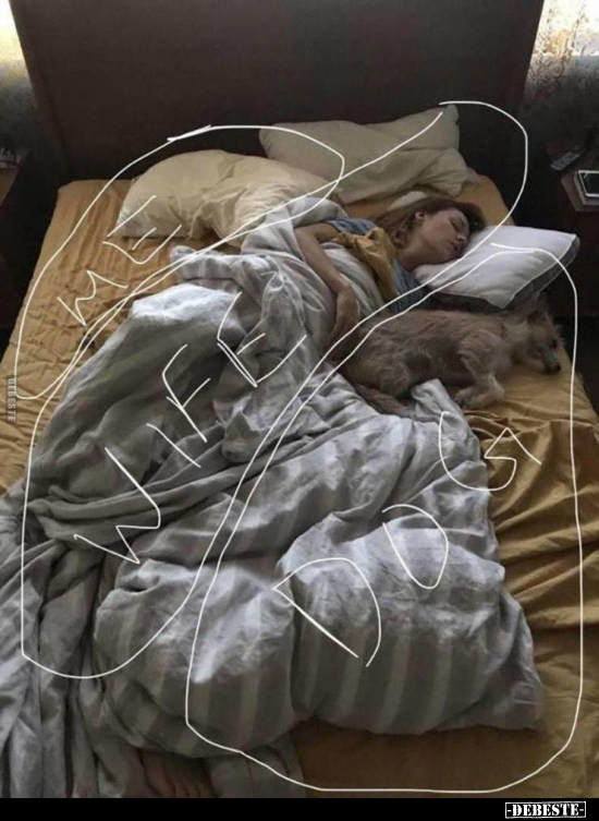  - Lustige Bilder | DEBESTE.de