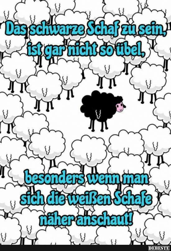 Das schwarze Schaf zu sein, ist gar nicht so übel.. - Lustige Bilder | DEBESTE.de