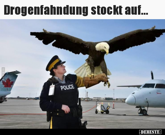 Drogenfahndung stockt auf...