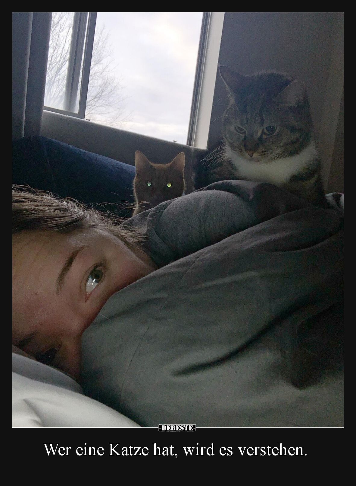 Wer eine Katze hat, wird es verstehen.