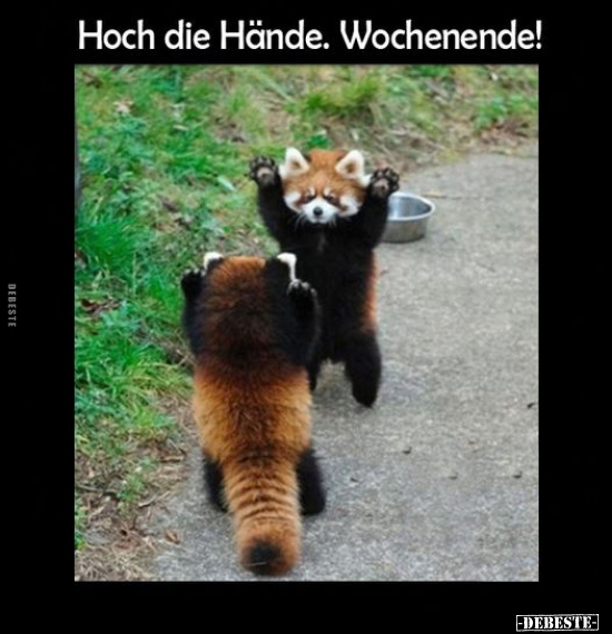 Hoch die Hände. Wochenende!.. - Lustige Bilder | DEBESTE.de
