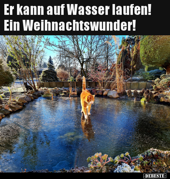 Er kann auf Wasser laufen! Ein Weihnachtswunder!.. - Lustige Bilder | DEBESTE.de