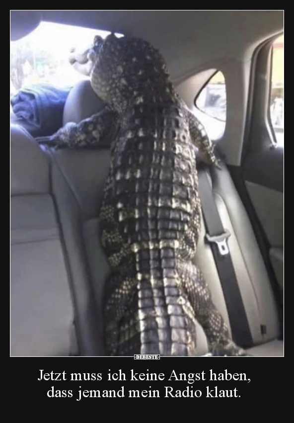 Jetzt muss ich keine Angst haben, dass jemand mein Radio..