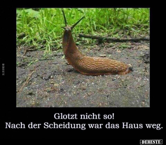 Glotzt nicht so! Nach der Scheidung war das Haus weg..