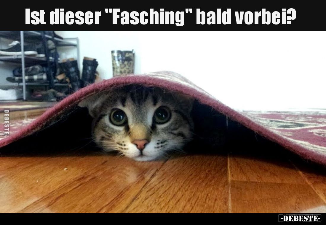 Ist dieser "Fasching" bald vorbei?