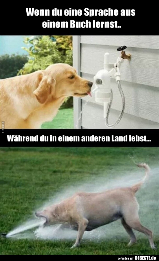 Wenn du eine Sprache aus einem Buch lernst..