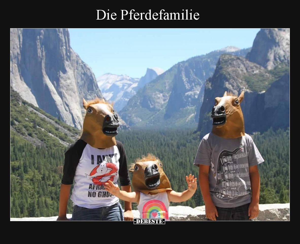 Die Pferdefamilie..