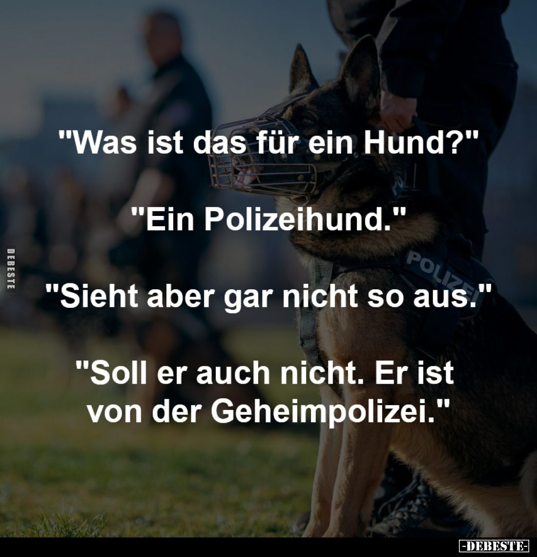 "Was ist das für ein Hund?".. - Lustige Bilder | DEBESTE.de