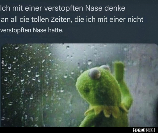 Ich mit einer verstopften Nase denke an all die tollen.. - Lustige Bilder | DEBESTE.de