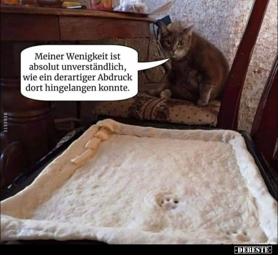 Meiner Wenigkeit ist absolut unverständlich, wie ein..