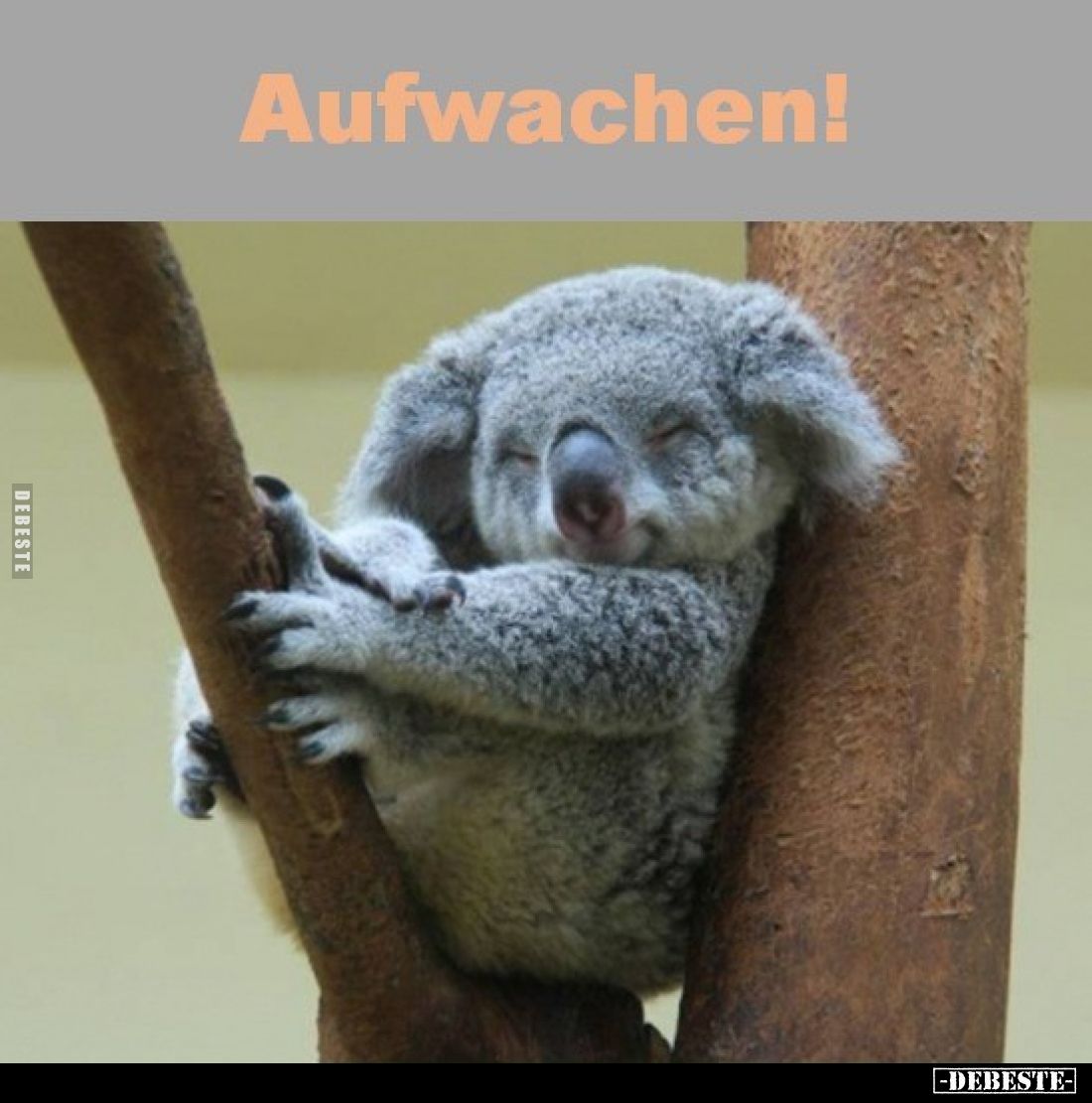 Aufwachen!