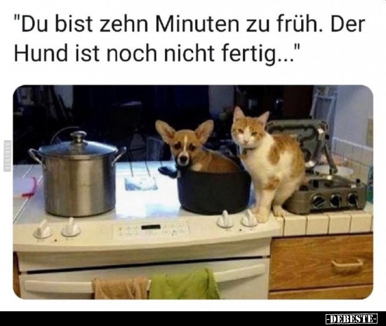"Du bist zehn Minuten zu früh. Der Hund ist noch nicht.."