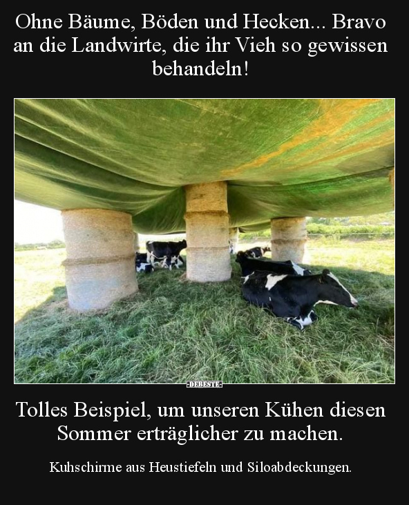 Ohne Bäume, Böden und Hecken... Bravo an die Landwirte, die.. - Lustige Bilder | DEBESTE.de