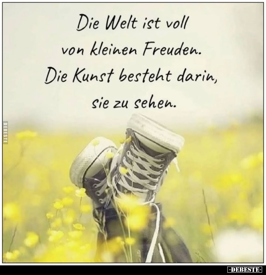 Die Welt ist voll von kleinen Freuden. Die Kunst besteht darin, sie zu sehen.