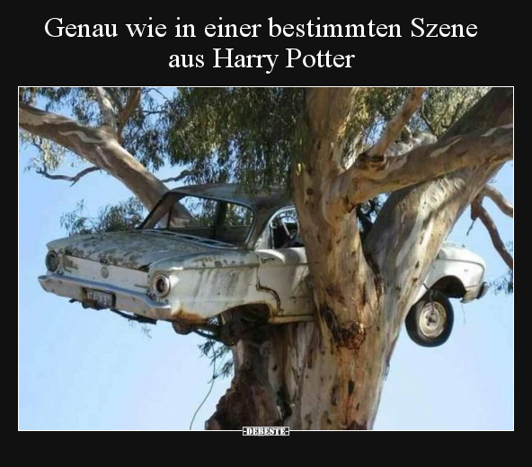 Genau wie in einer bestimmten Szene aus Harry Potter.. - Lustige Bilder | DEBESTE.de