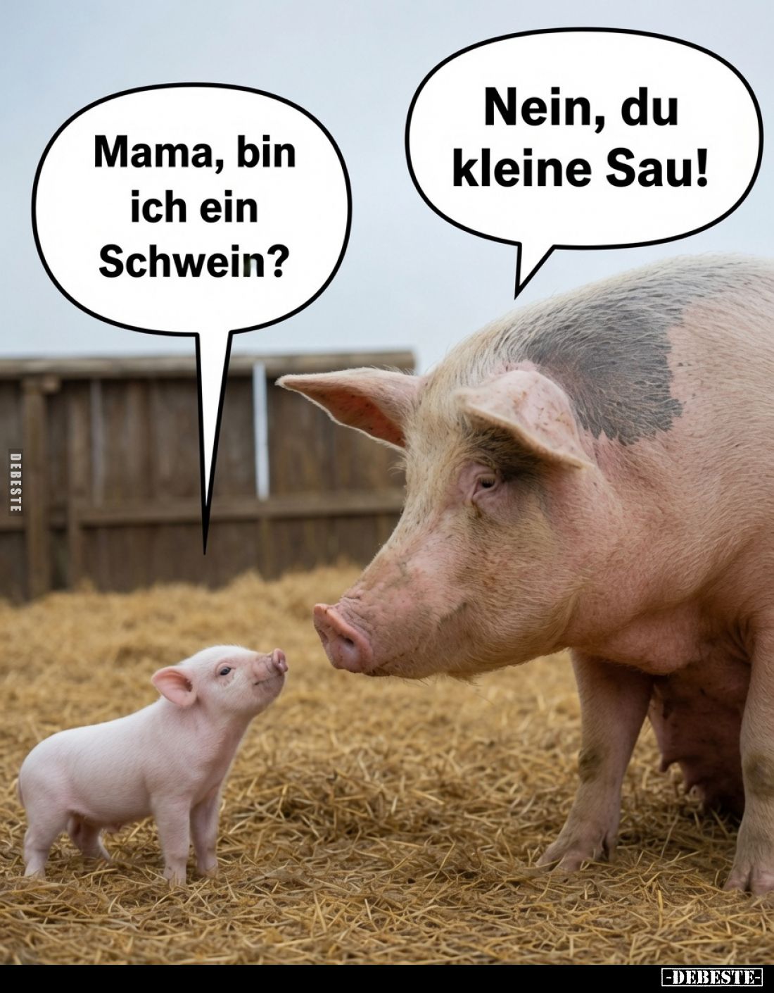 Mama, bin ich ein Schwein?
Nein, du kleine Sau!