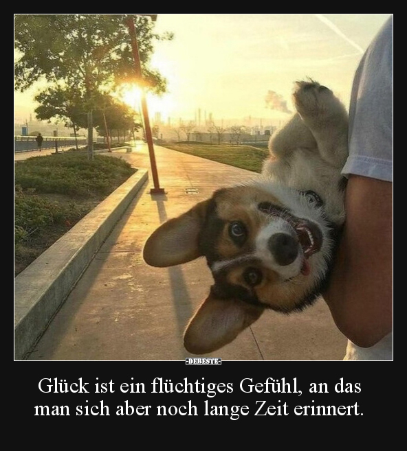 Glück ist ein flüchtiges Gefühl, an das man sich aber noch.. - Lustige Bilder | DEBESTE.de