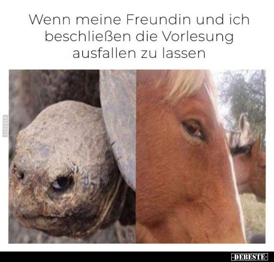 Wenn meine Freundin und ich beschließen die Vorlesung.. - Lustige Bilder | DEBESTE.de