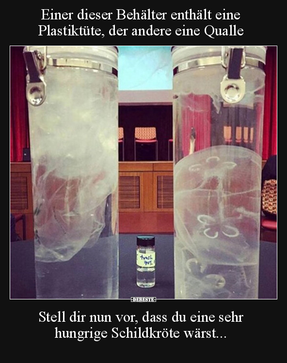 Einer dieser Behälter enthält eine Plastiktüte, der andere.. - Lustige Bilder | DEBESTE.de
