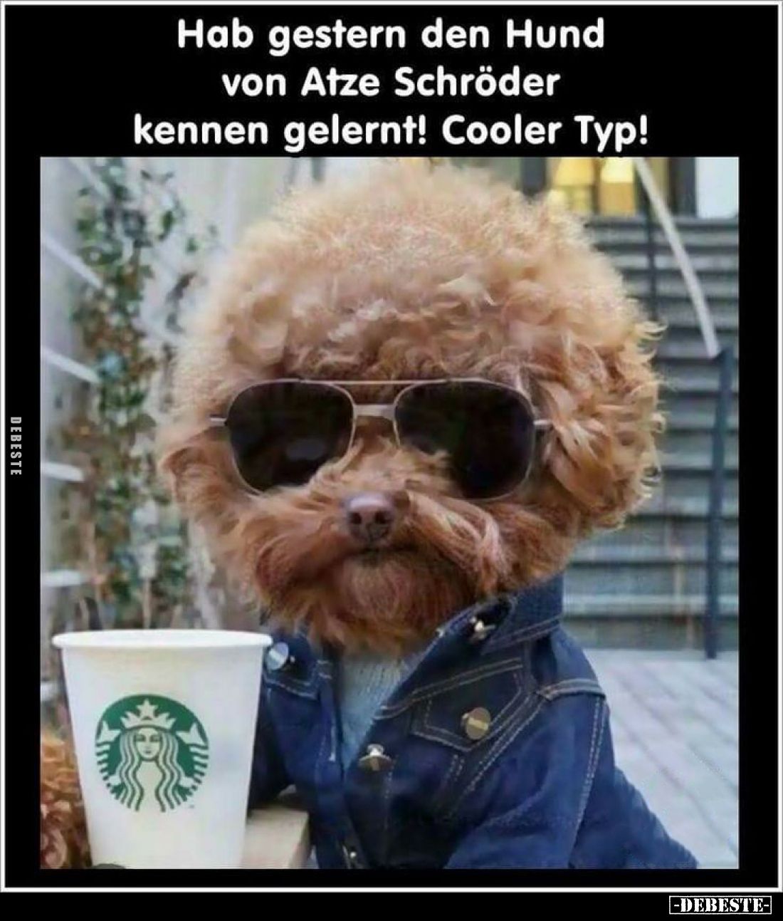 Hab gestern den Hund von Atze Schröder kennen gelernt! Cooler Typ!