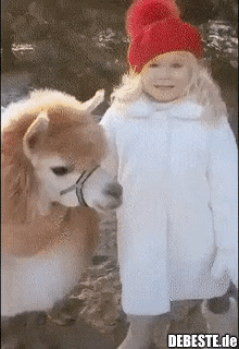 Geliebtes Kuscheltier.