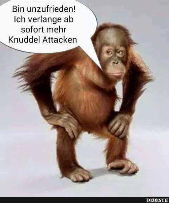 Bin unzufrieden! Ich verlange ab sofort mehr Knuddel Attacken... - Lustige Bilder | DEBESTE.de